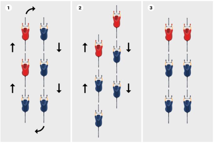 Formation Diagram